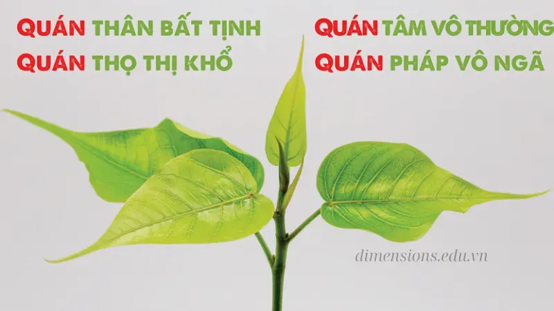  Tứ Niệm Xứ 