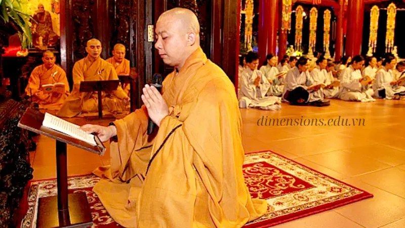 Lời khuyên cho người mới bắt đầu