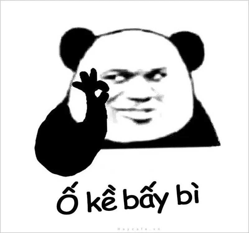 Ảnh meme chó bựa luôn tạo ra những tình huống hài hước khiến người xem không thể nhịn cười.