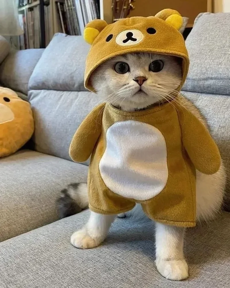 Khám phá avatar dễ thương vô tri để tạo ấn tượng đáng yêu và thu hút sự chú ý từ bạn bè và cộng đồng!
