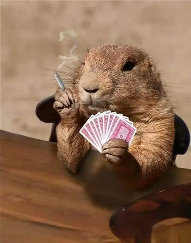 Hình ảnh capybara meme độc đáo, hài hước, thu hút mọi ánh nhìn