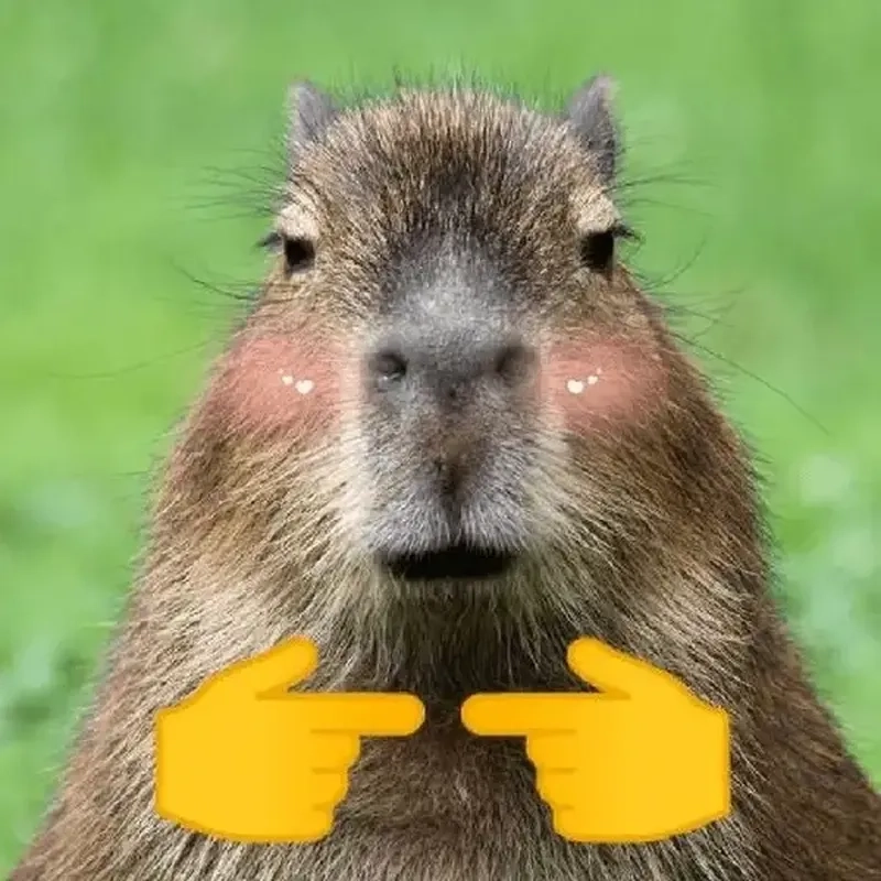 Khám phá capybara meme cute cực hot, khiến ai cũng phải bật cười