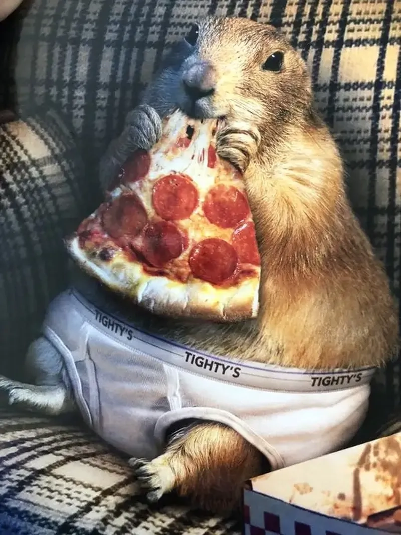 Tải ngay hình nền capybara meme để làm mới thiết bị của bạn