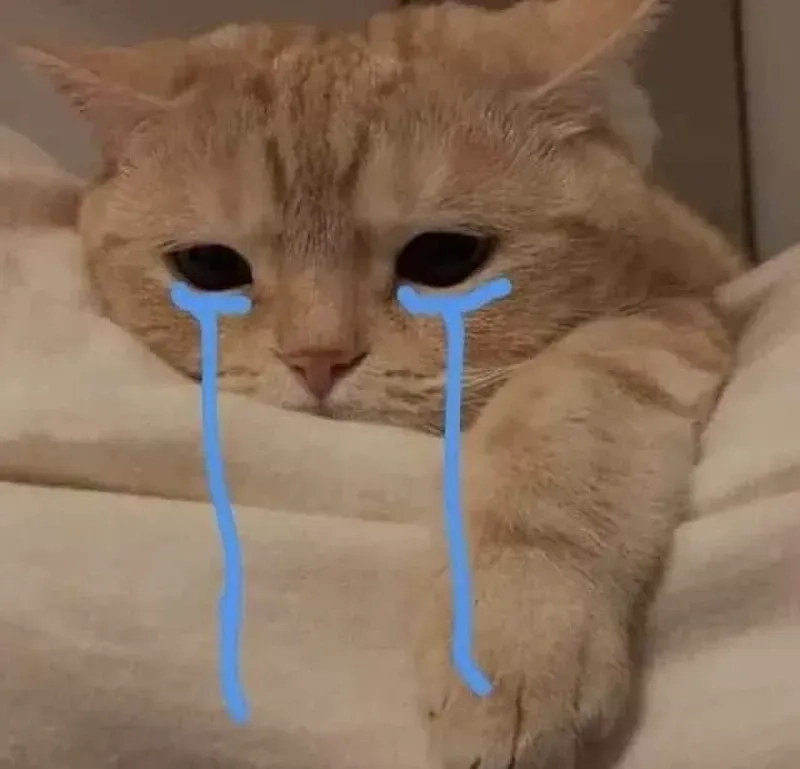 Đội quần hài hước cute ảnh người que meme, dễ thương và vui nhộn bất ngờ.