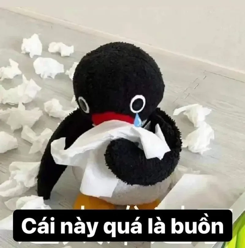 Meme hài cute với những biểu cảm đáng yêu, cực kỳ thu hút mọi ánh nhìn.