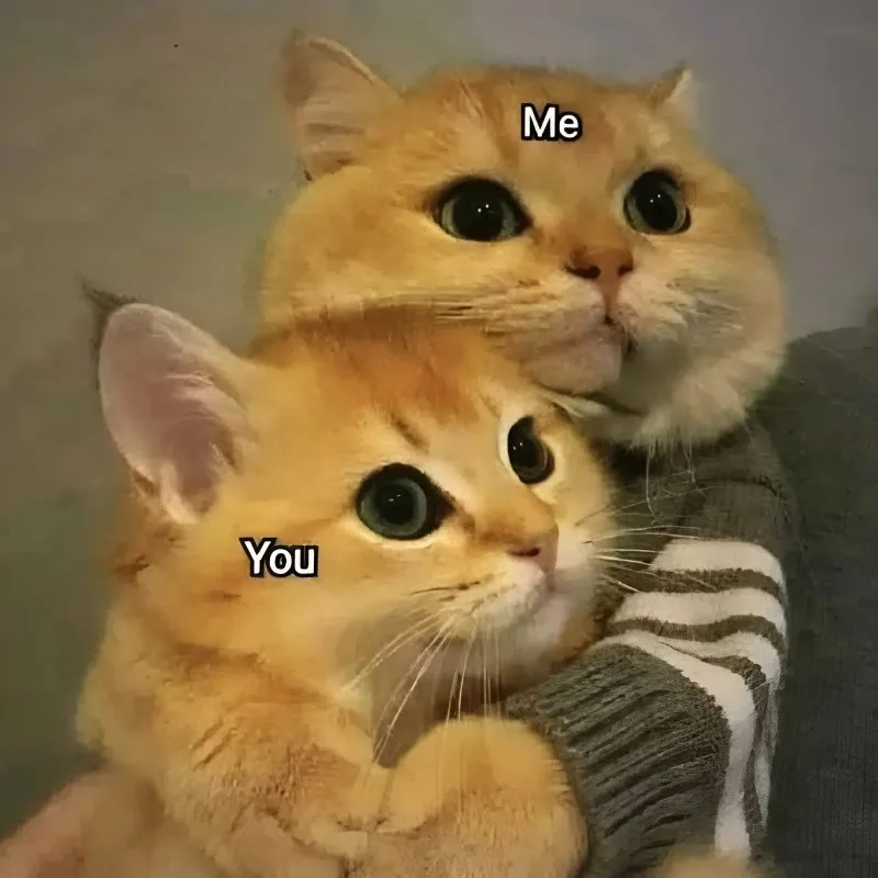 Meme đừng buồn nữa, giúp người yêu bạn vui vẻ trở lại sau những lúc khó khăn!