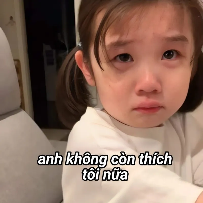 Meme si tình, ngọt ngào và lãng mạn, dành cho những ai yêu một cách nồng nàn!
