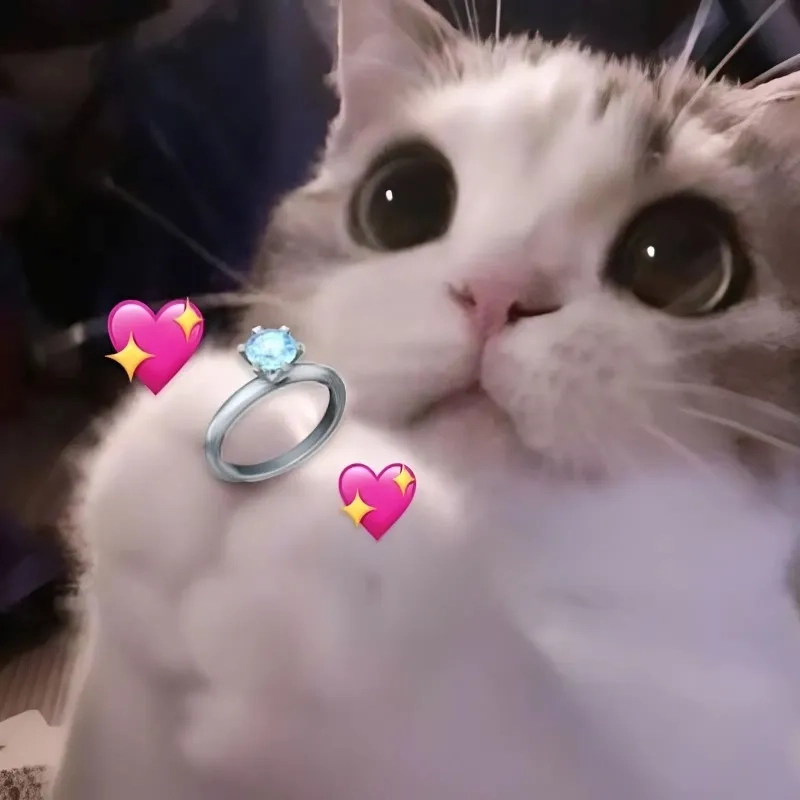 Meme buồn bã giúp xoa dịu nỗi buồn, tìm lại niềm vui trong cuộc sống!