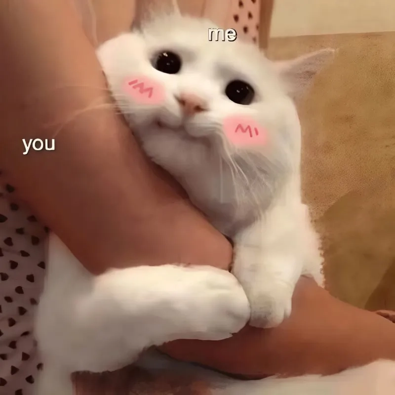 Meme buồn khóc giúp bạn thấu hiểu và chia sẻ cảm xúc với người yêu trong những lúc buồn.