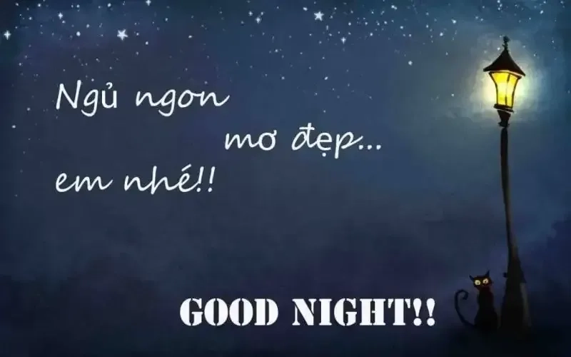 Chúc bạn một đêm ngủ ngon cùng meme mèo dễ thương và đáng yêu!