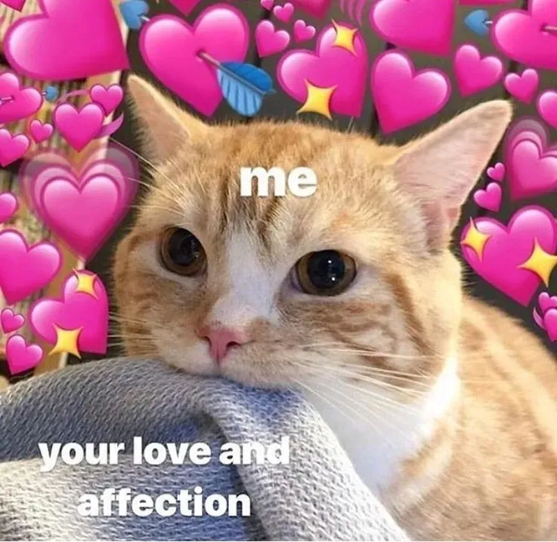 Ngồi im tình yêu sẽ đến meme, một cách dễ thương để chờ đợi tình yêu đích thực!