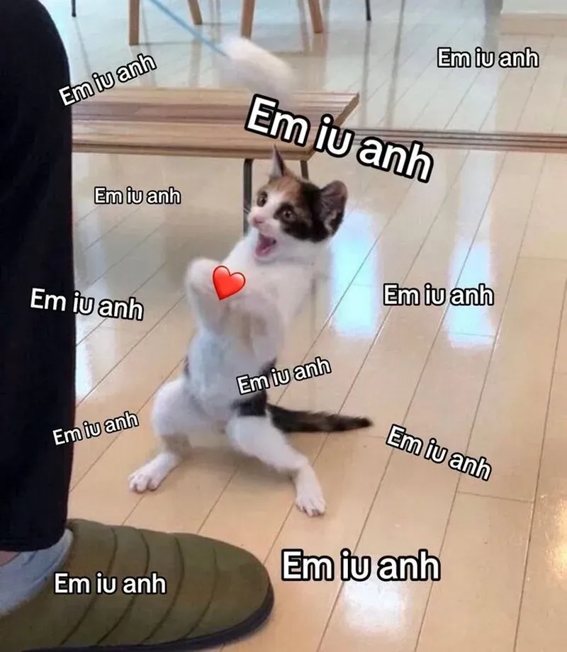 Tình yêu to lớn meme là sự biểu hiện tình cảm vĩ đại, không thể thay đổi!