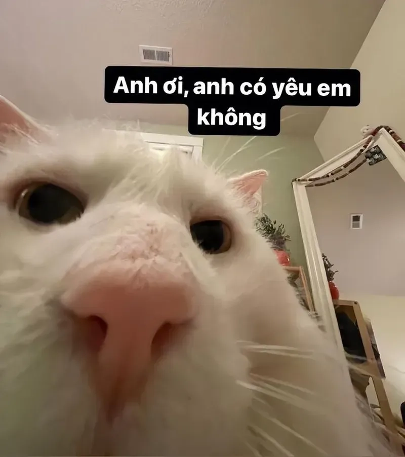 Tình yêu to bự meme luôn làm bạn cảm nhận được tình yêu sâu đậm và đầy lãng mạn!