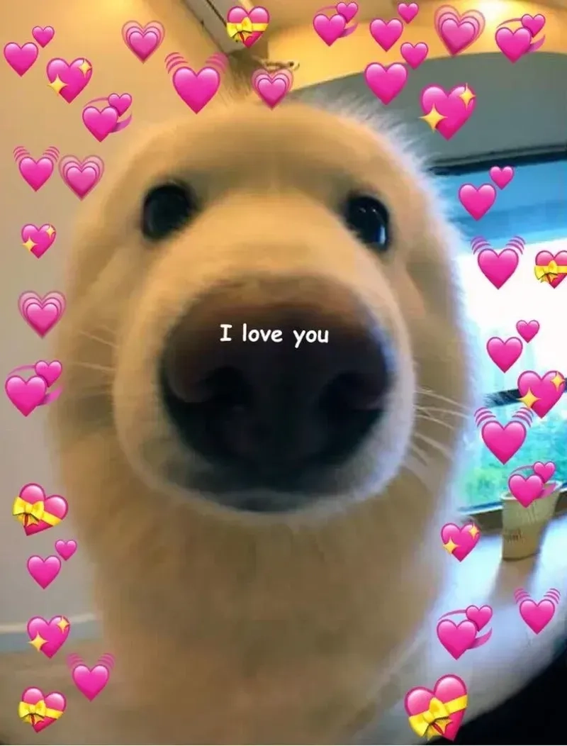 Meme tình yêu vũ trụ dành cho những cặp đôi yêu nhau vô cùng to lớn và vĩ đại!
