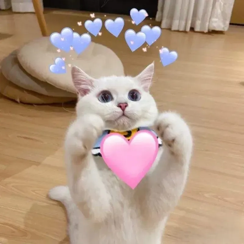 Tình yêu ảnh meme em bé có chữ, dễ thương và đầy ý nghĩa, chia sẻ ngay hôm nay!