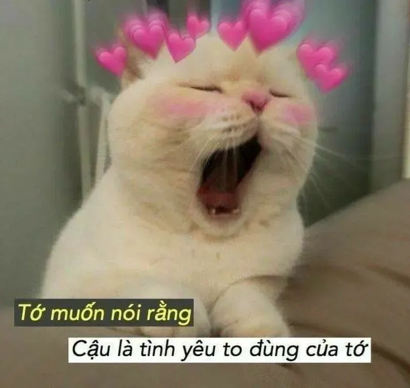 Meme yêu em giúp bạn thể hiện tình yêu sâu sắc và ngọt ngào đến người yêu!