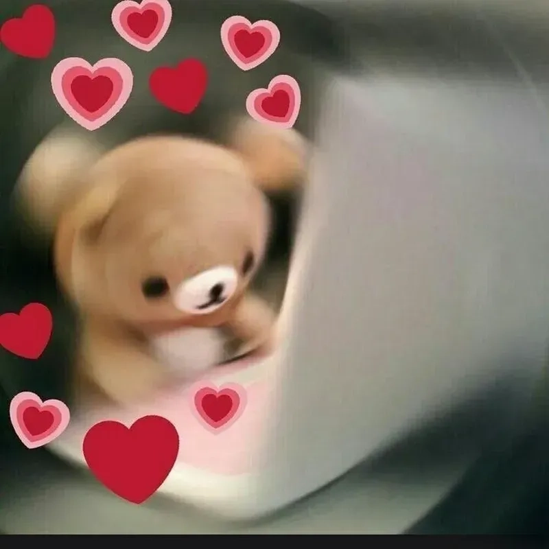 Meme gấu trúc yêu, ngọt ngào và đầy dễ thương, khiến bạn cảm nhận tình yêu theo cách đặc biệt!