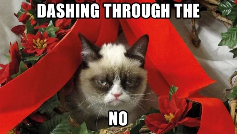 Meme mèo noel cute sẽ làm bạn cười nghiêng ngả với sự đáng yêu của chú mèo trong trang phục Noel!