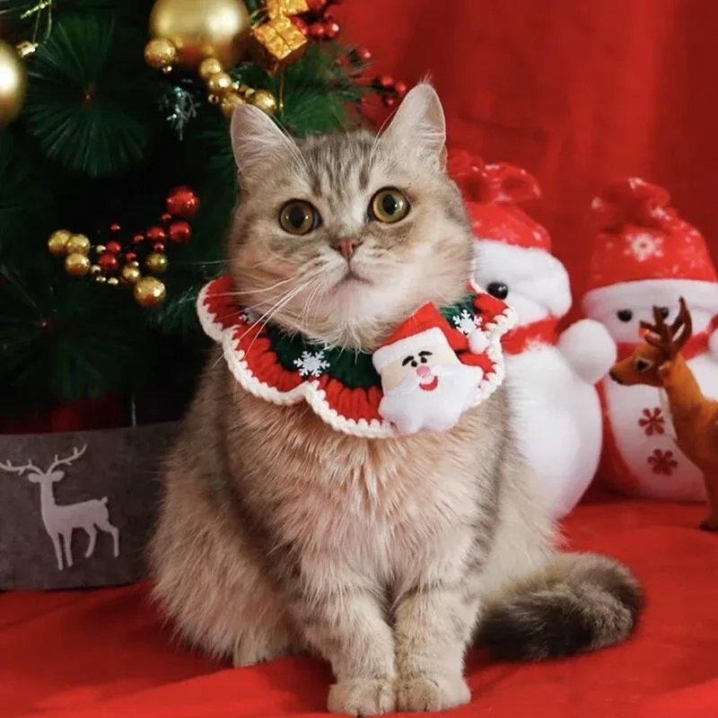 Avatar mèo noel meme sẽ là biểu tượng dễ thương cho mùa Giáng Sinh của bạn!