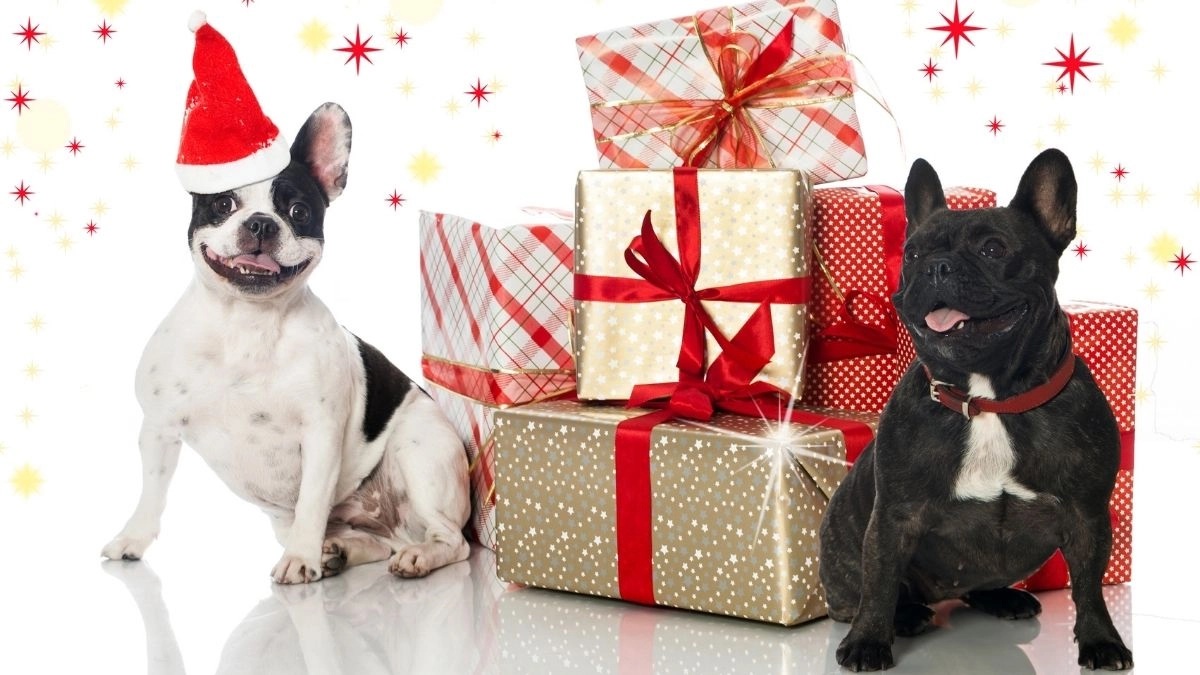 Deco noel a faire soi meme là cách thú vị để tự tay tạo nên những món đồ trang trí Giáng Sinh độc đáo!