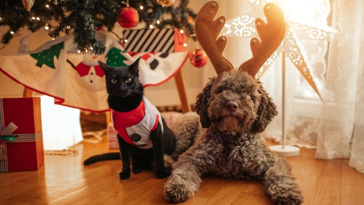 Deco de noel a faire soi meme tạo ra không gian Giáng Sinh ấm cúng và đầy sáng tạo!
