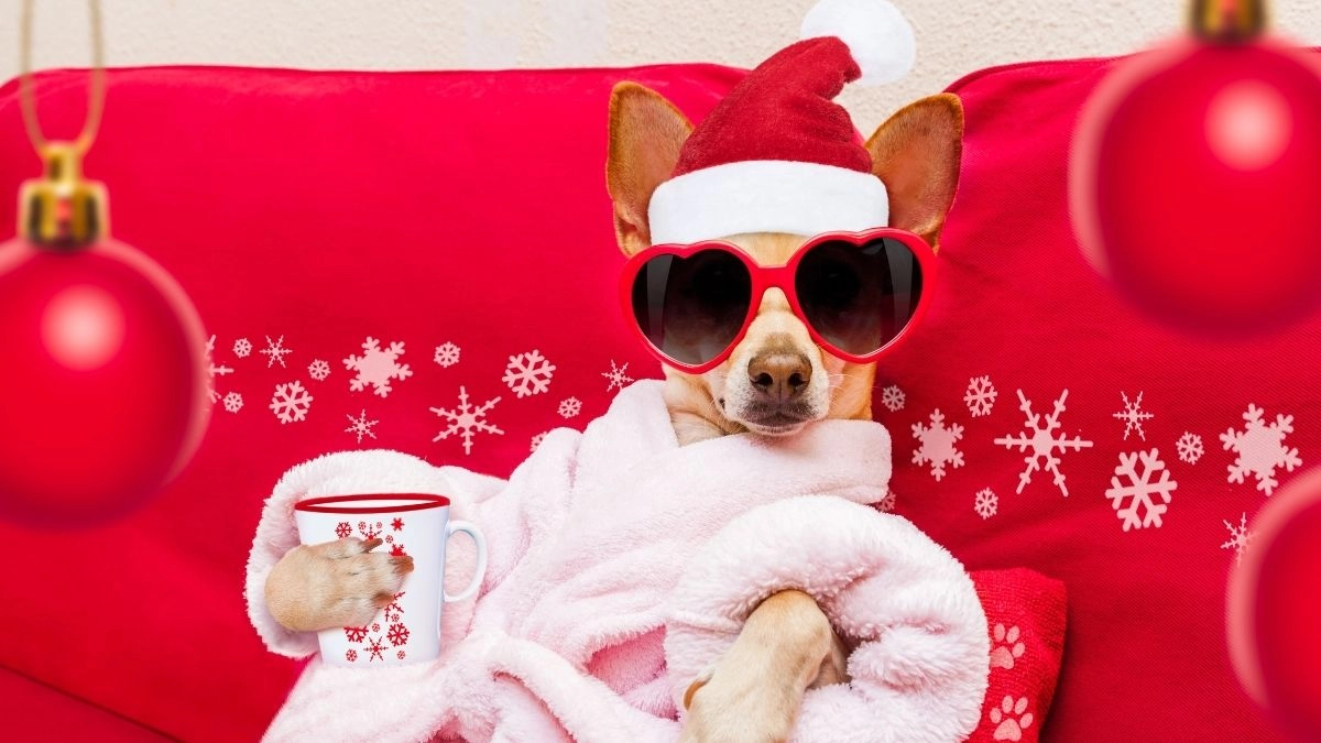 Âm thanh noel mang đến một không khí Giáng Sinh thật ấm áp và vui tươi!