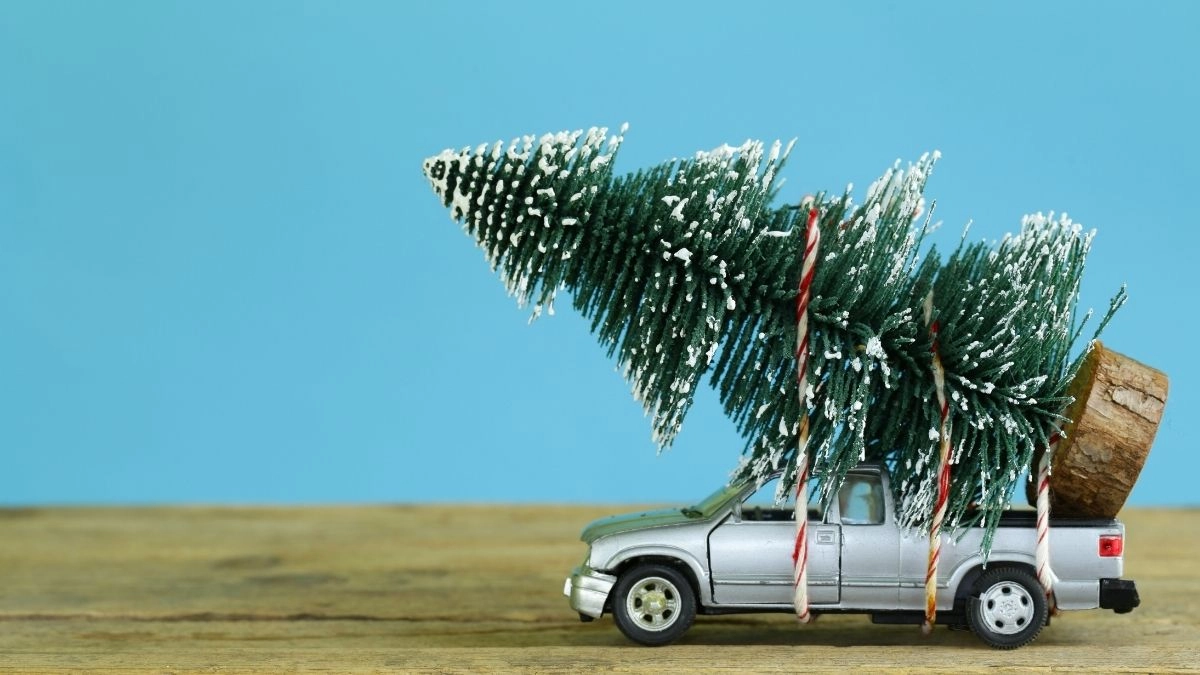 Hình noel meme tạo ra không khí Giáng Sinh đầy màu sắc và vui nhộn cho mọi người!