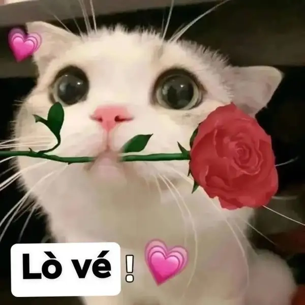 Meme tặng trái tim là cách hoàn hảo để chia sẻ tình cảm và lòng biết ơn với trái tim yêu thương!