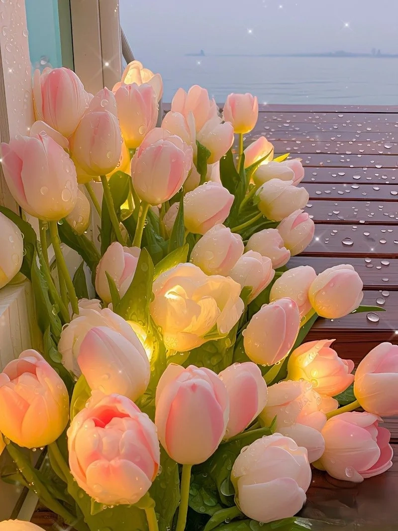 Tuyển tập ảnh hoa tulip sáng rực rỡ, đầy sức sống