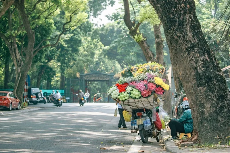 Thời điểm thời tiết Hà Nội đẹp nhất