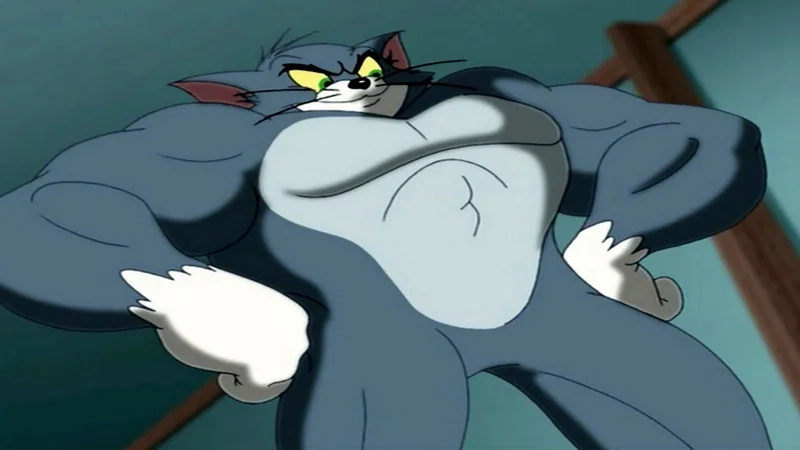 Loạt ảnh mèo tom meme siêu hài hước
