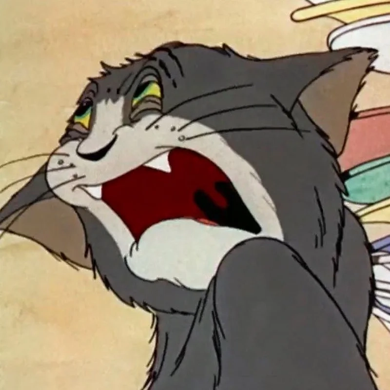 Bộ ảnh ảnh meme tom khiến bạn cười té ghế
