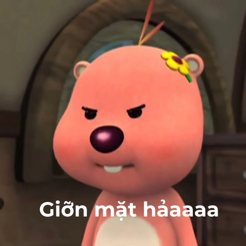 Ảnh meme vô tri hài giúp bạn thư giãn và cười thoải mái