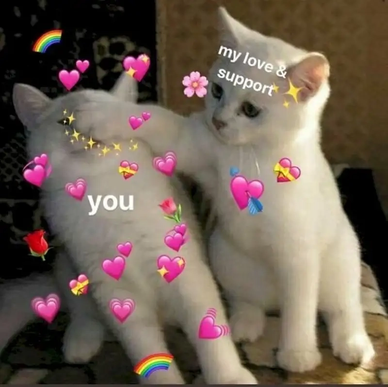 Trọn bộ siêu vui nhộn meme bắn tim hài