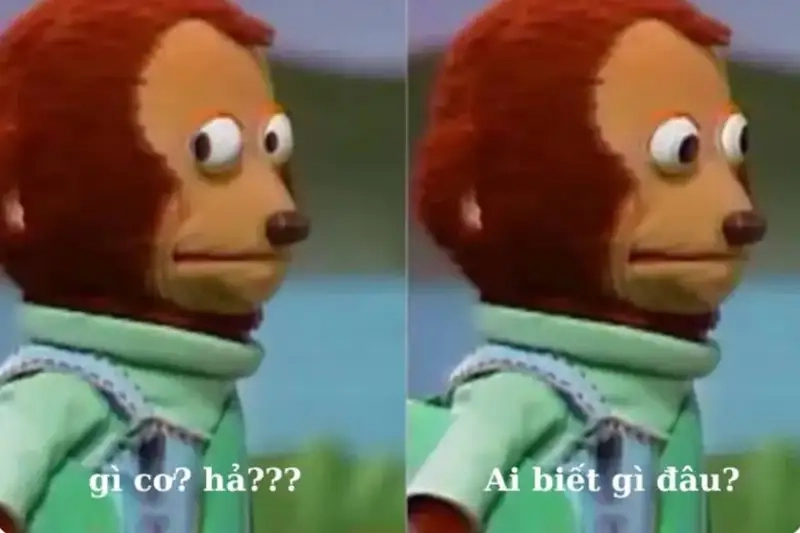 Meme ủa gì ai biết đâu tạo trend vui nhộn trên mạng