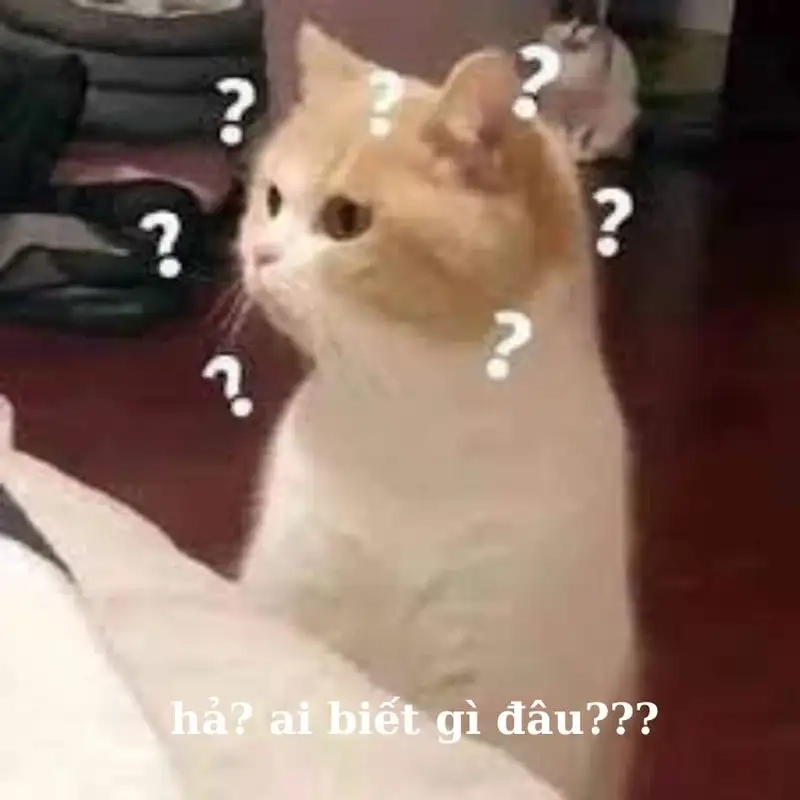 Ai biết gì meme gây bão cộng đồng tìm kiếm ảnh hài