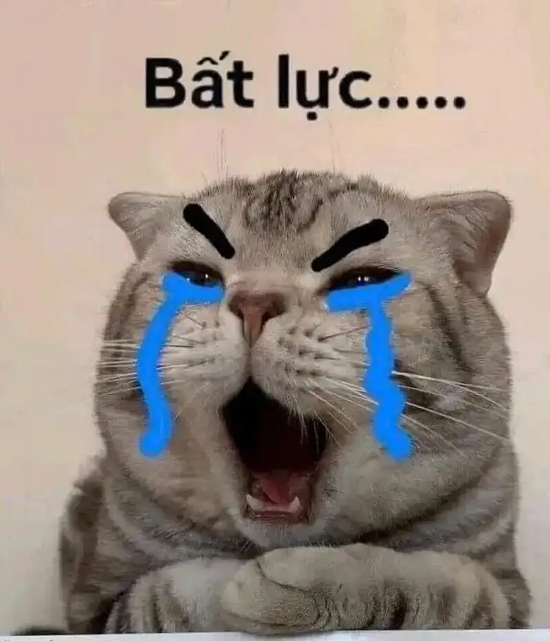 Hình ảnh meme bất lực chấm com gây cười nhẹ nhàng