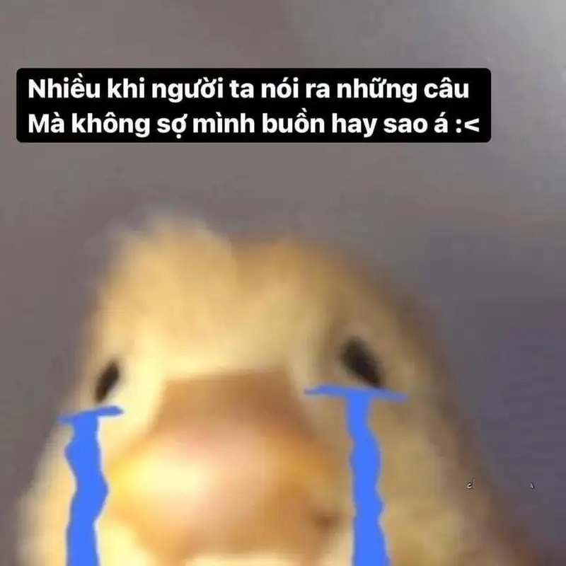 Nỗi buồn được tỏ bày qua meme sad girl
