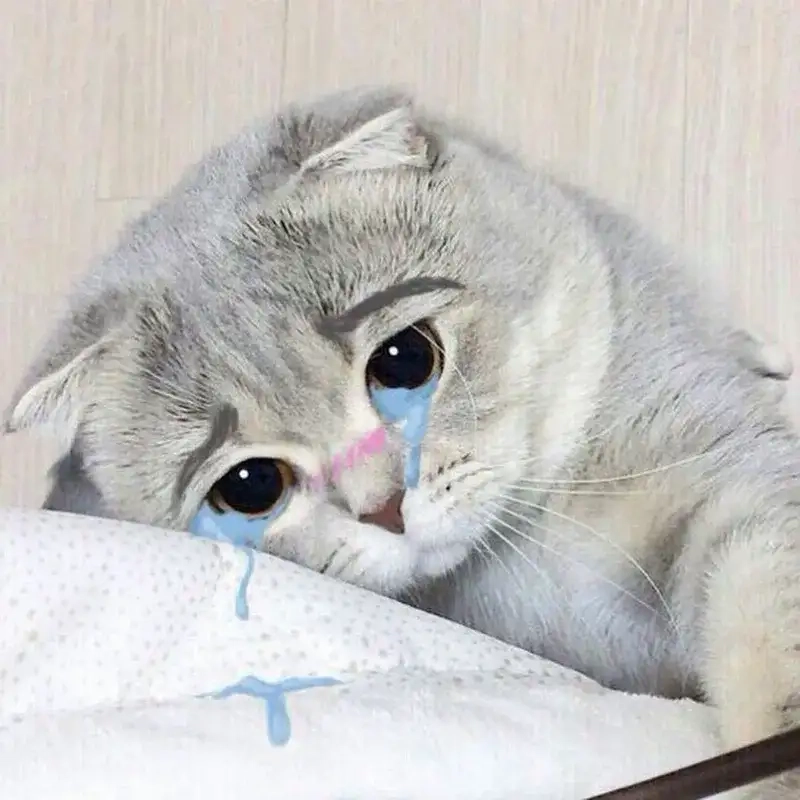Chia sẻ nỗi lòng qua meme sad boi chân thật