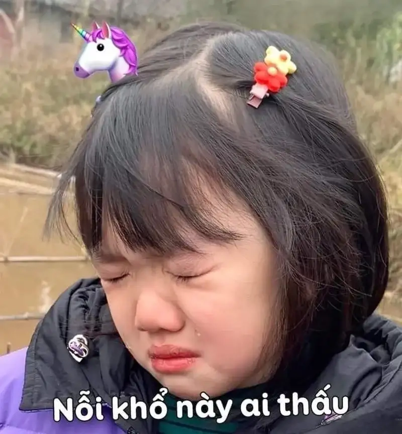 Meme buồn khóc khiến tim bạn tan chảy