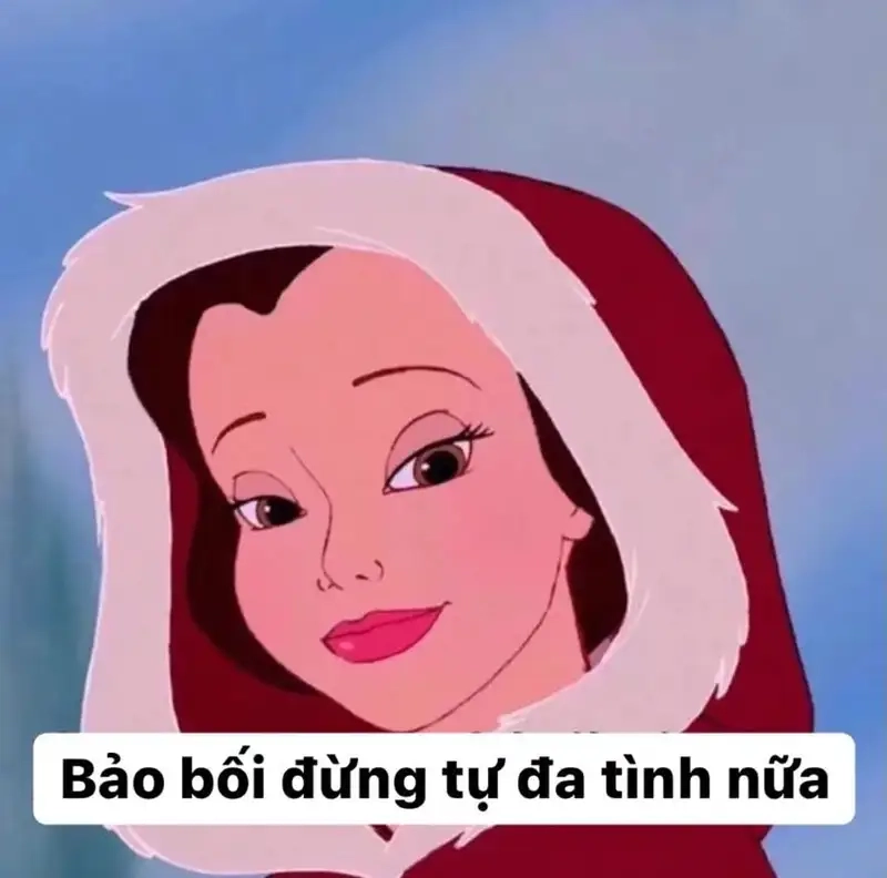 Bộ sưu tập hài hước với công chúa meme