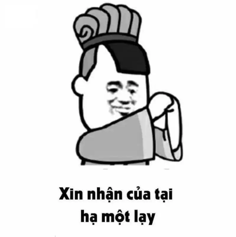 Meme gấu trúc đa tạ mang lại tiếng cười dễ thương cho fan