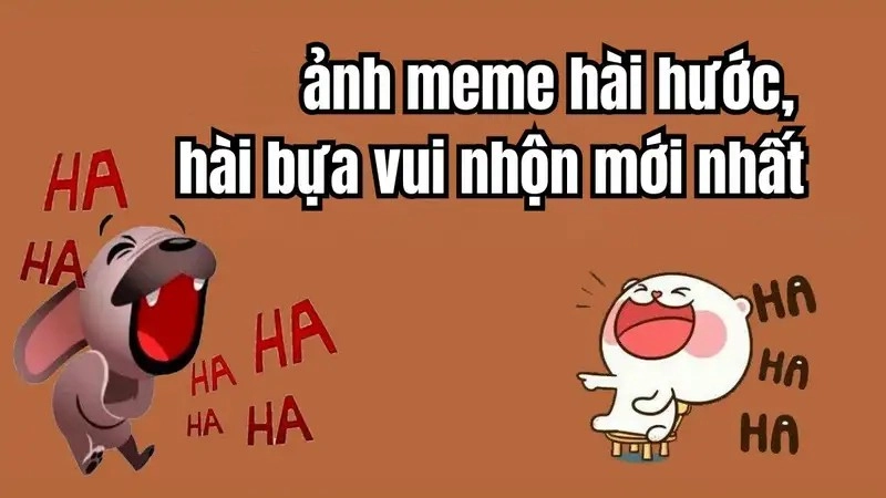Meme hài hước là như thế nào khiến bạn không nhịn được cười