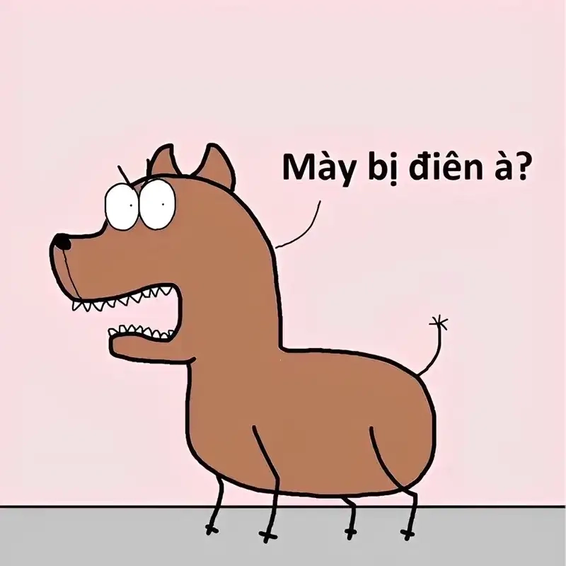 Trending Meme hài hước hot meme hài tiktok