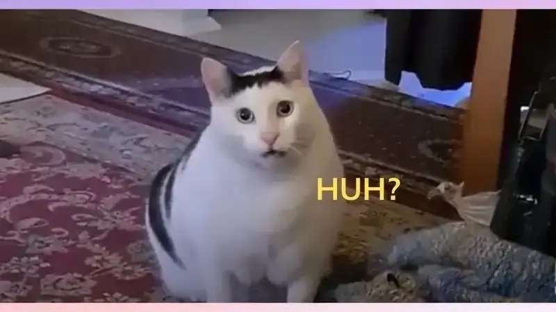 Meme hoang mang là như thế nào gây bão mạng