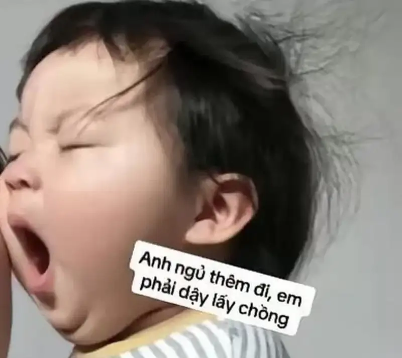 Tìm ngay buồn ngủ meme cực vui xua tan mệt mỏi