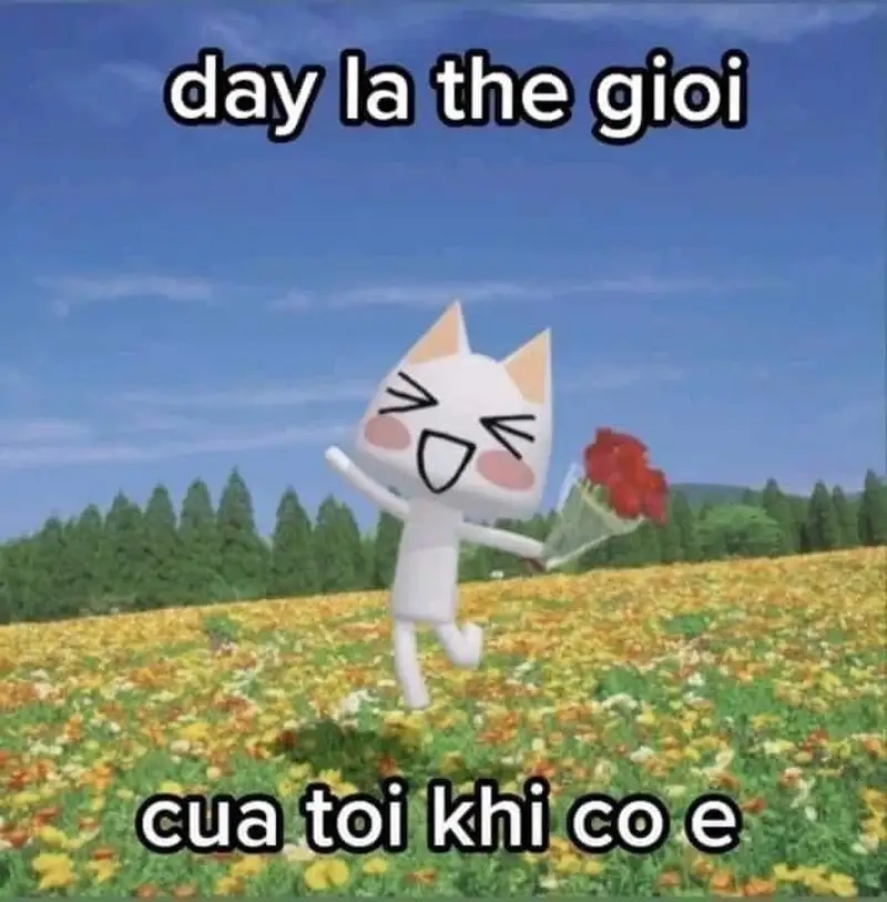 meme mèo tặng hoa con mèo mang hoa thật cute