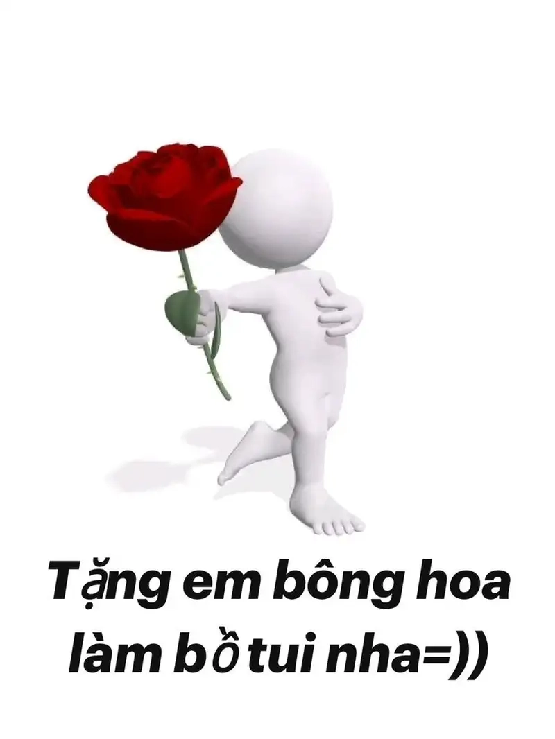meme mèo tặng hoa cute khiến bạn cười hạnh phúc
