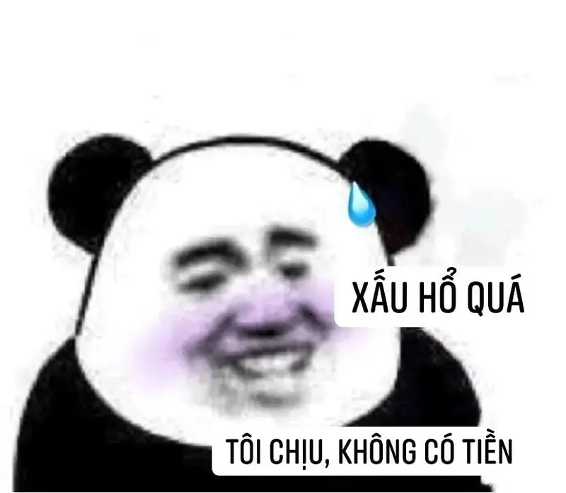 Meme nghèo rách khiến mọi người bật cười vui vẻ