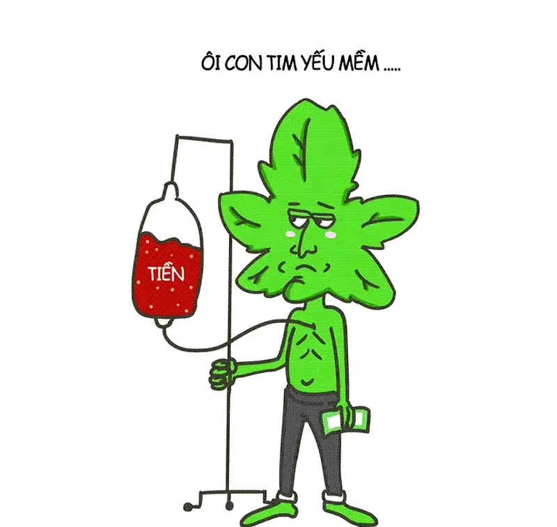 Meme mèo nghèo dễ thương vui cười